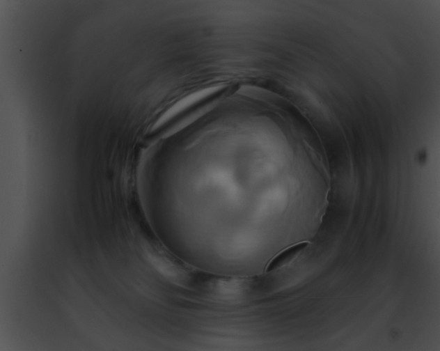 X0000091500134200708302006