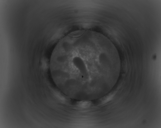 X0000091500135200708302006