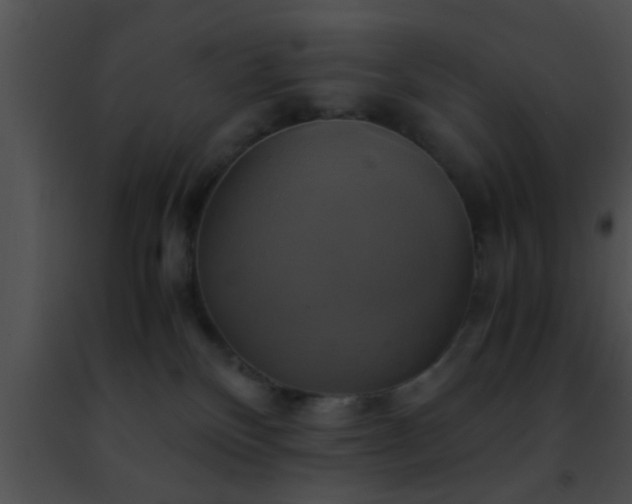 X0000091500136200708302006