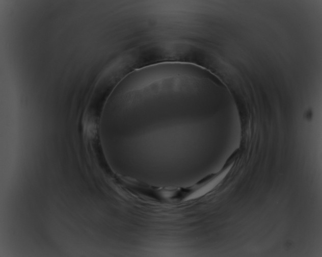 X0000091500137200708302006