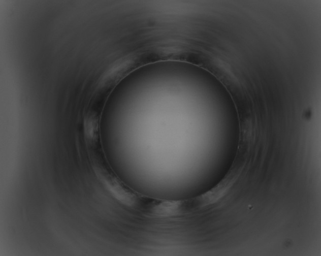 X0000091500138200708302006