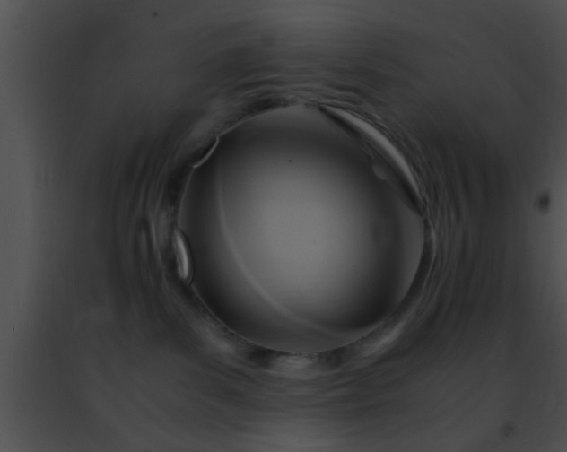 X0000091500139200708302006