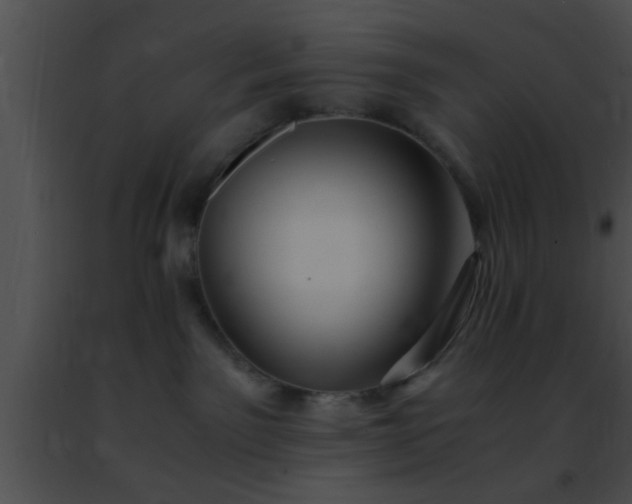 X0000091500141200708302006