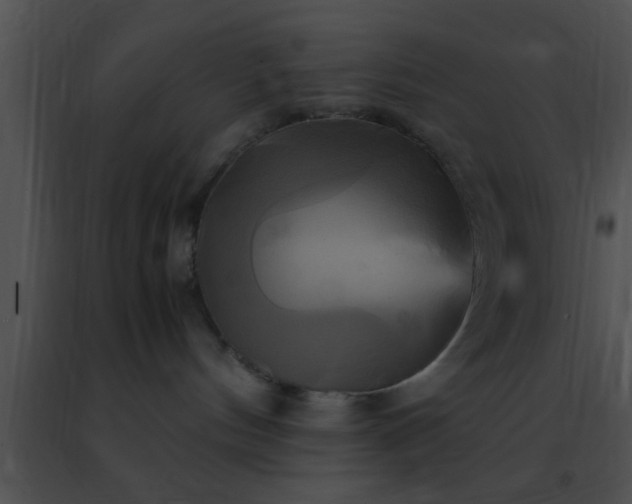 X0000091500144200708302006