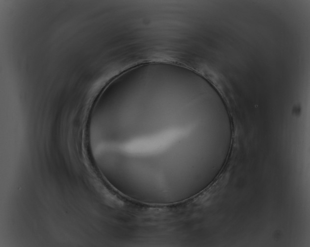 X0000091500145200708302005