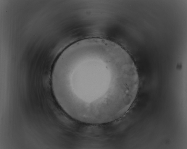 X0000091500146200708302005