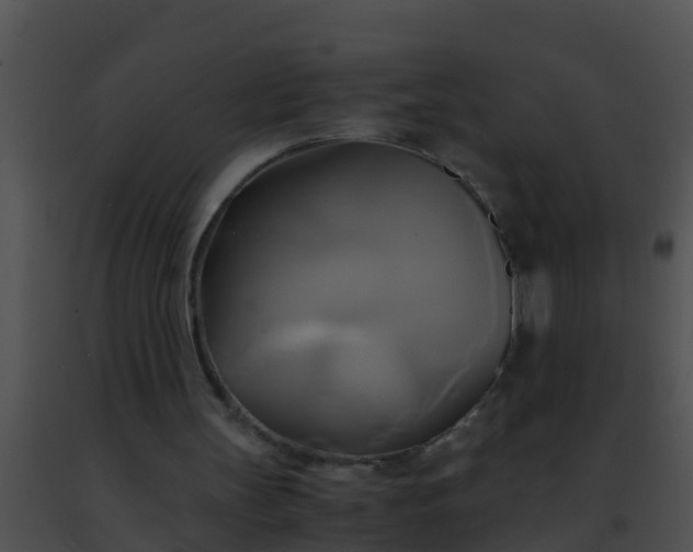 X0000091500147200708302005