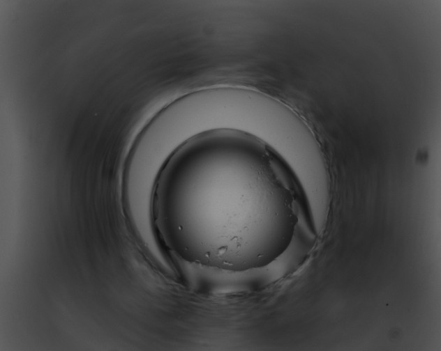 X0000091500148200708302005