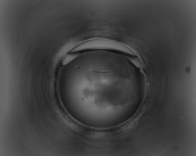 X0000091500149200708302005