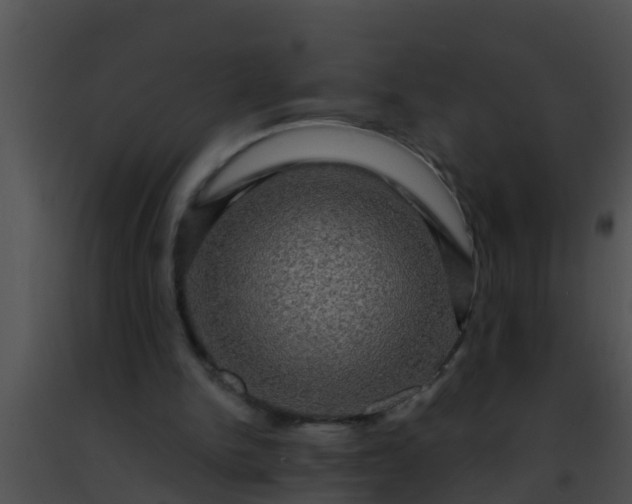 X0000091500150200708302005