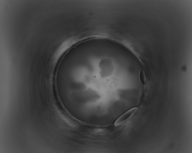 X0000091500151200708302005