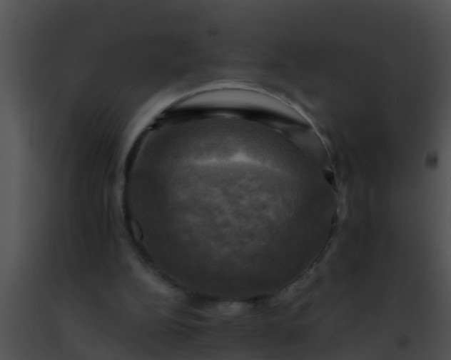 X0000091500152200708302005