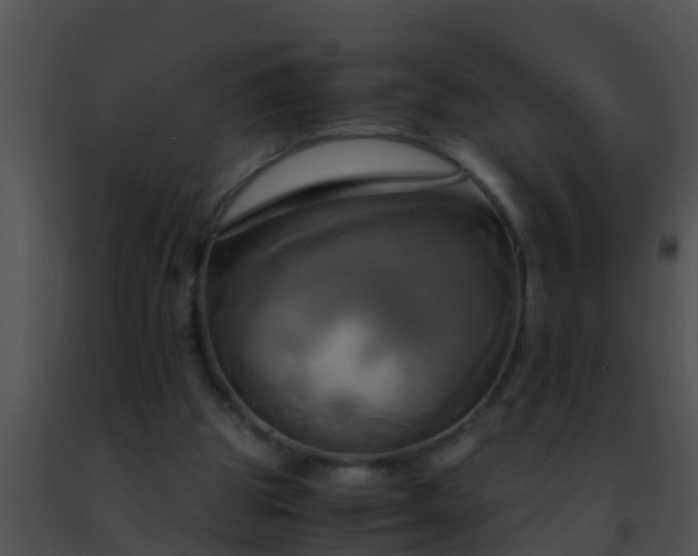 X0000091500153200708302005