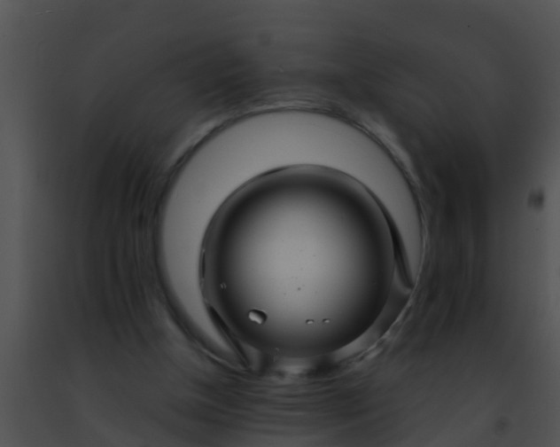 X0000091500154200708302005