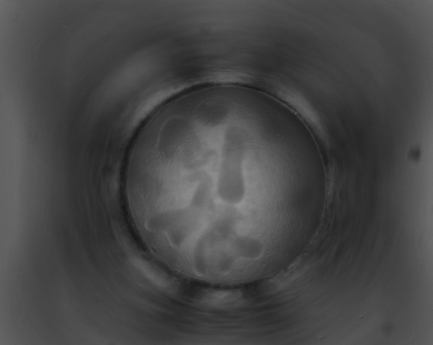 X0000091500155200708302005