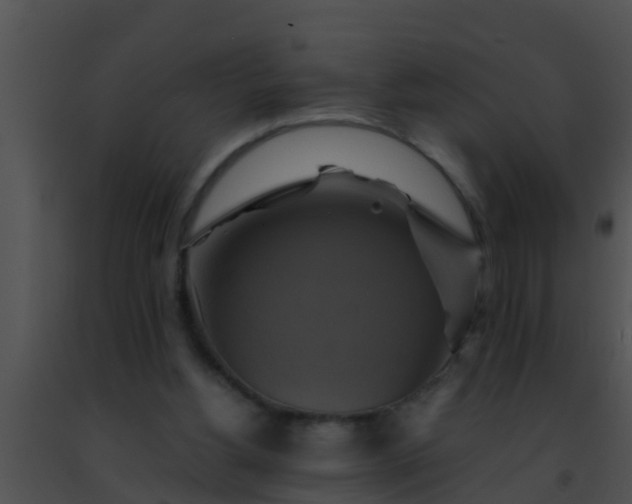 X0000091500156200708302005