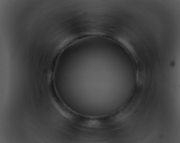 X0000091500157200708302005