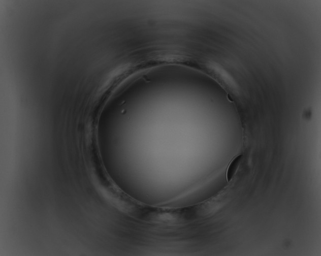 X0000091500163200708302005