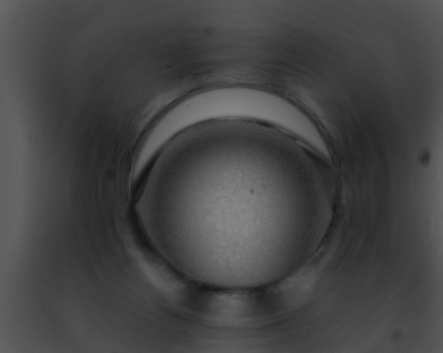 X0000091500164200708302005