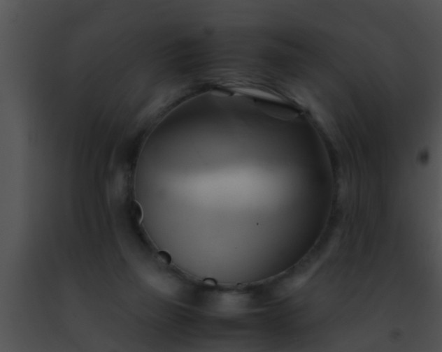 X0000091500165200708302005