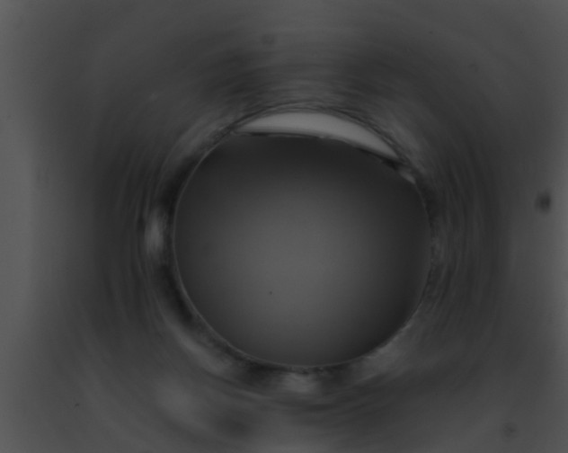 X0000091500166200708302005