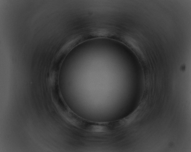 X0000091500167200708302005