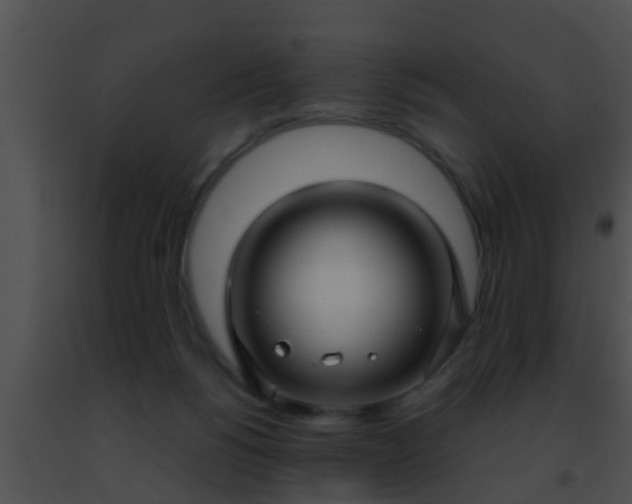 X0000091500168200708302005