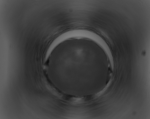 X0000091500170200708302005