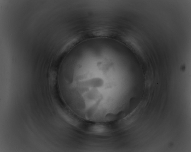 X0000091500171200708302005