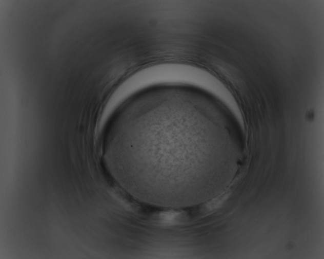 X0000091500172200708302005