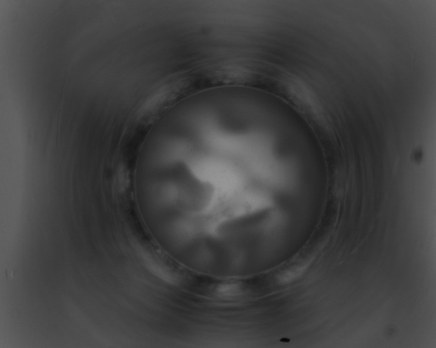 X0000091500173200708302005