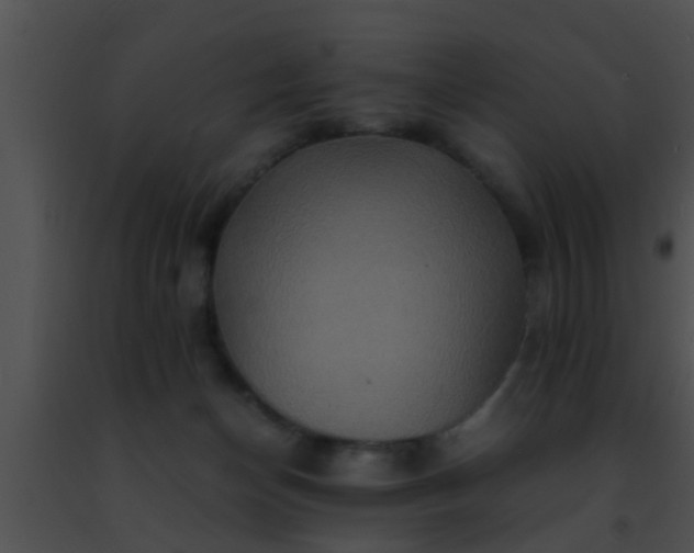 X0000091500174200708302005