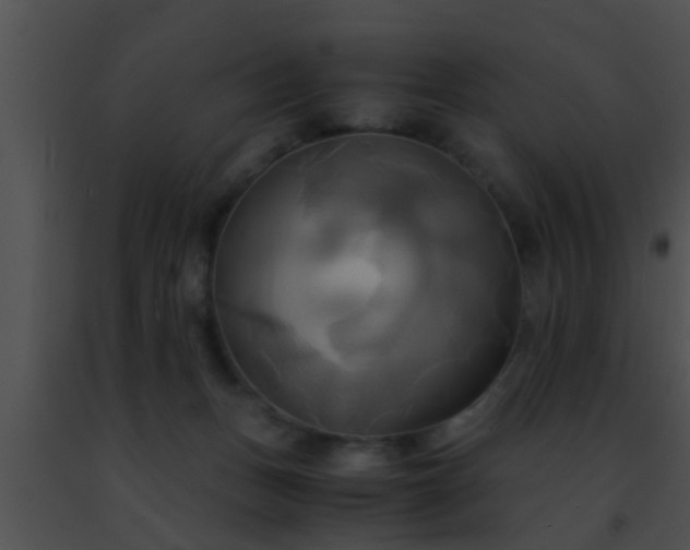 X0000091500175200708302005