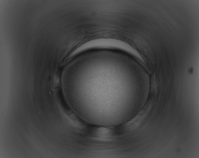 X0000091500176200708302005