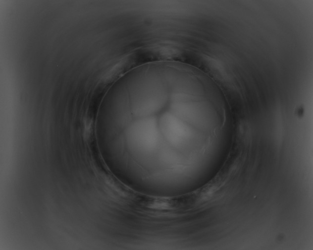 X0000091500177200708302005