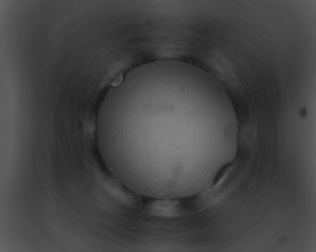 X0000091500179200708302005