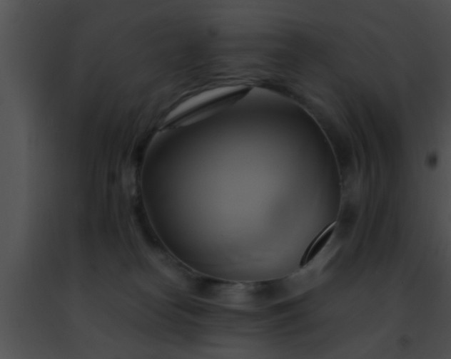 X0000091500182200708302005