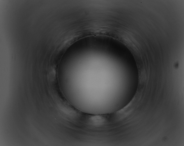 X0000091500183200708302005