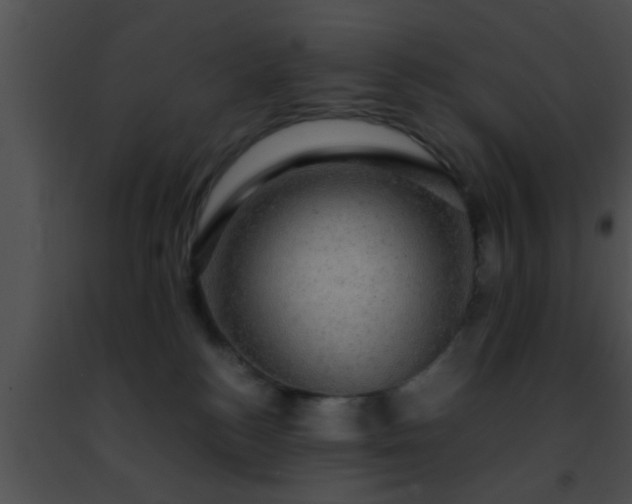 X0000091500184200708302005