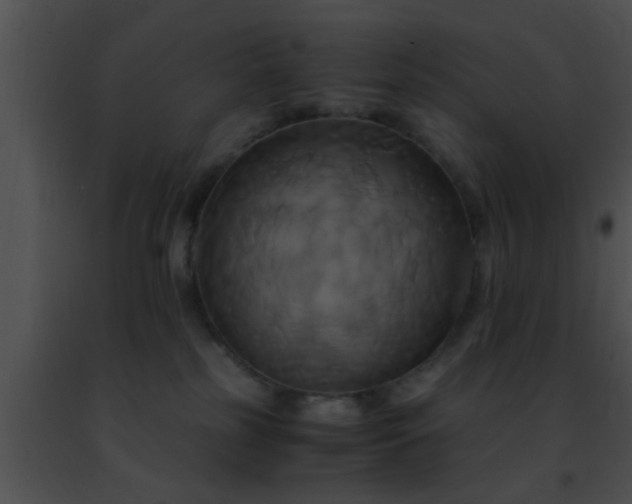 X0000091500185200708302005