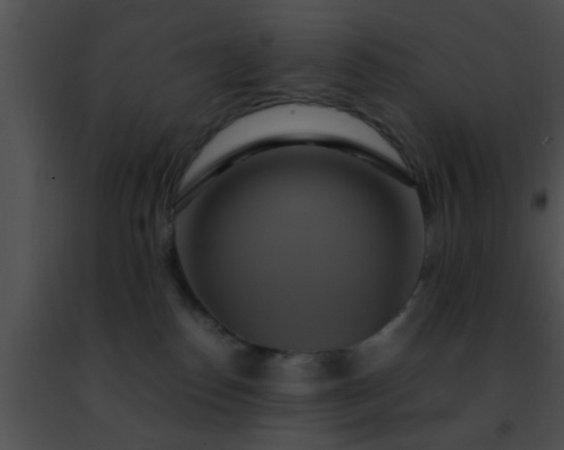 X0000091500186200708302005