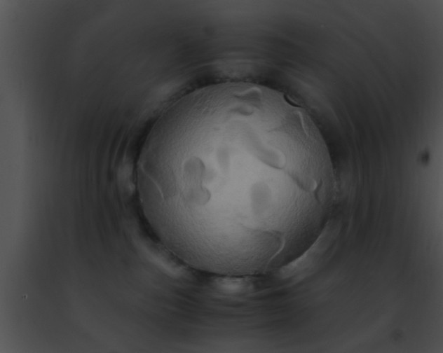 X0000091500187200708302006