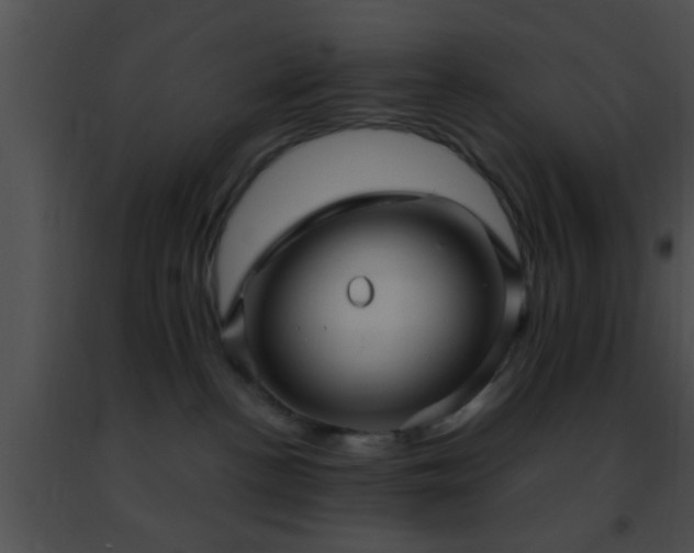 X0000091500188200708302006