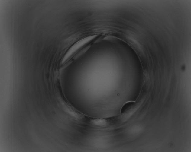 X0000091500189200708302006