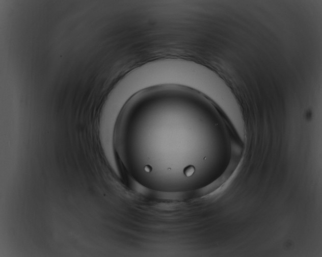 X0000091500190200708302006