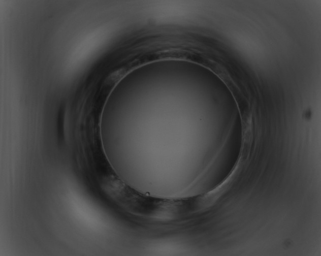 X0000091500191200708302006