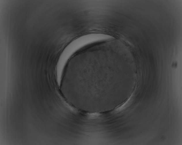 X0000091500192200708302006