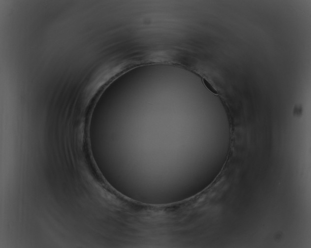 X0000091500194200708302005