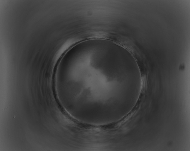 X0000091500195200708302005