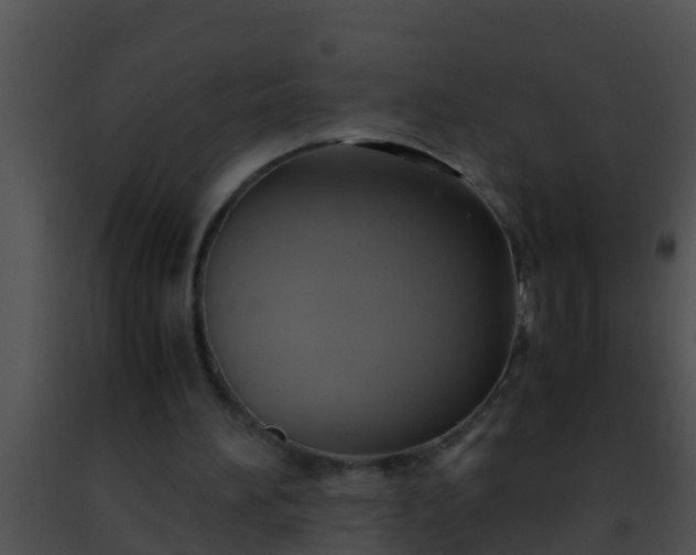 X0000091500196200708302005